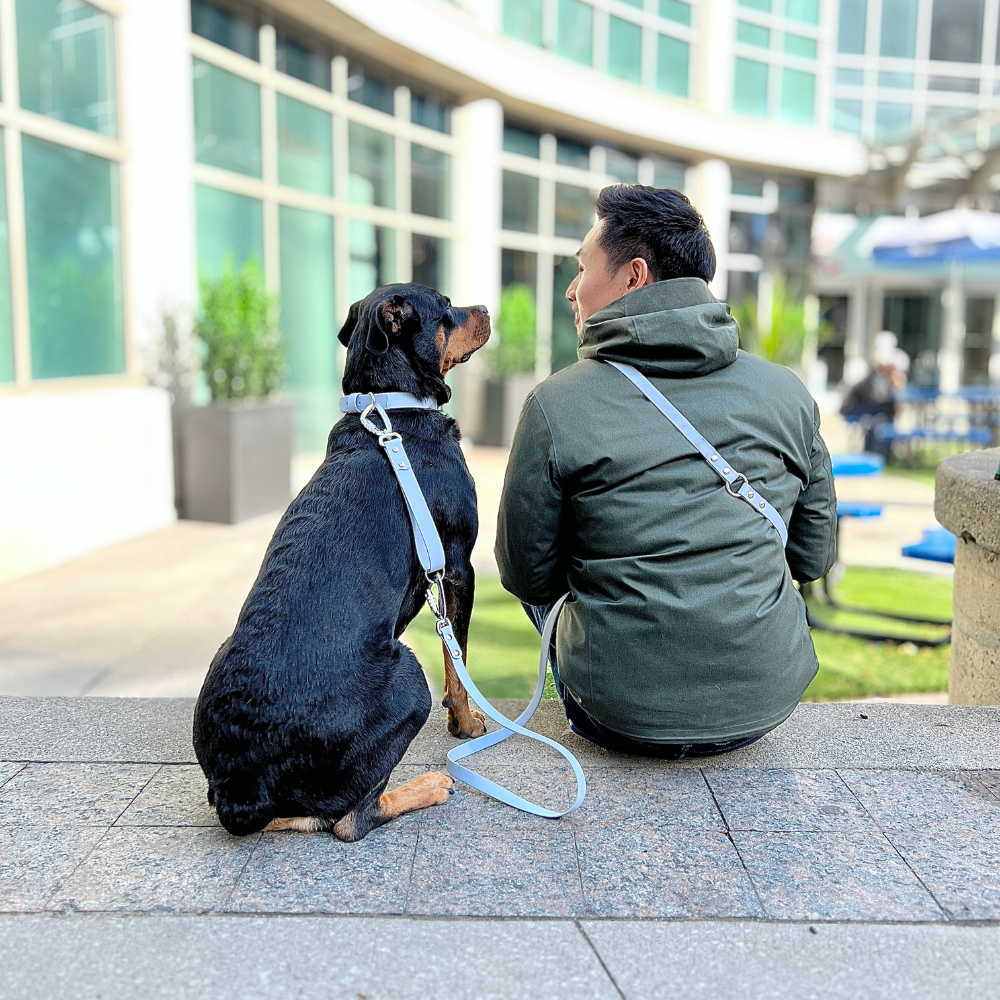 Hands sales free leash