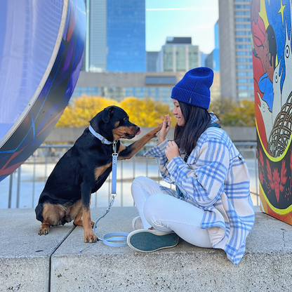 Cloud Training Handle