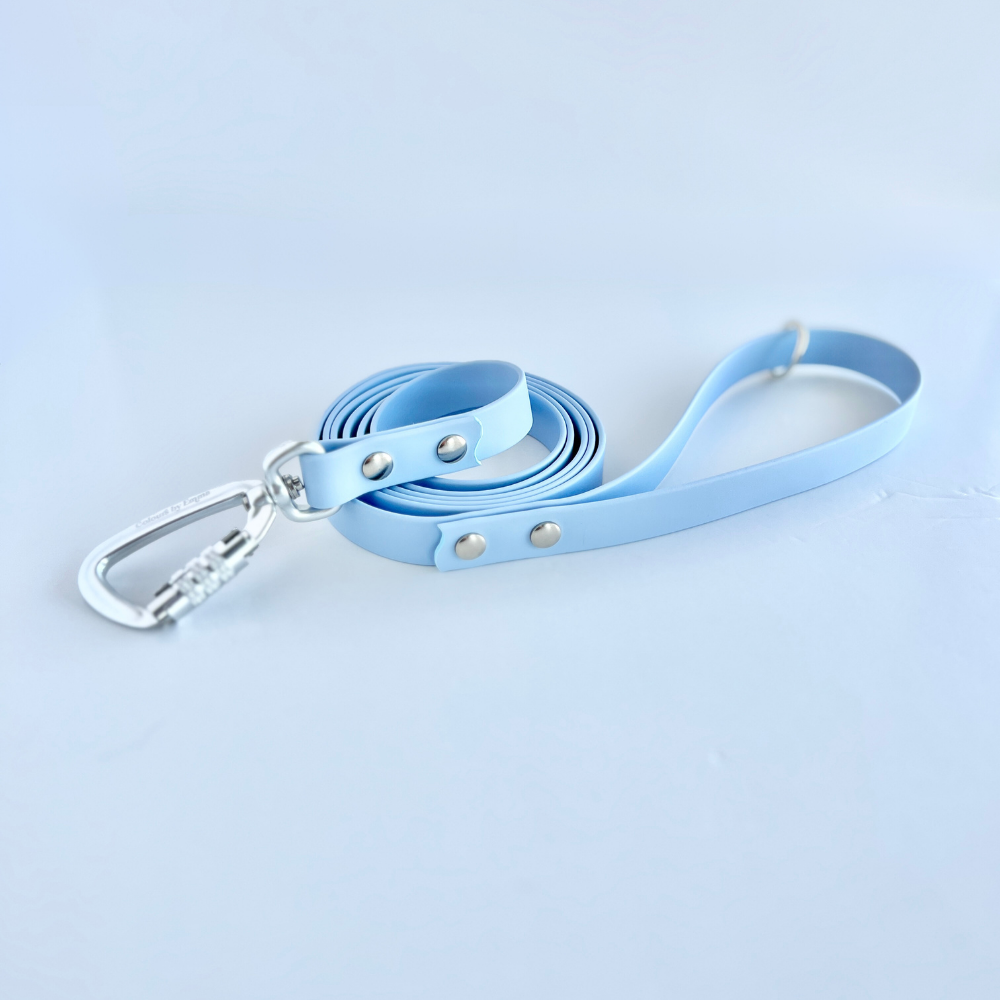 Cloud Original Leash