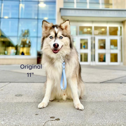 Cloud Training Handle