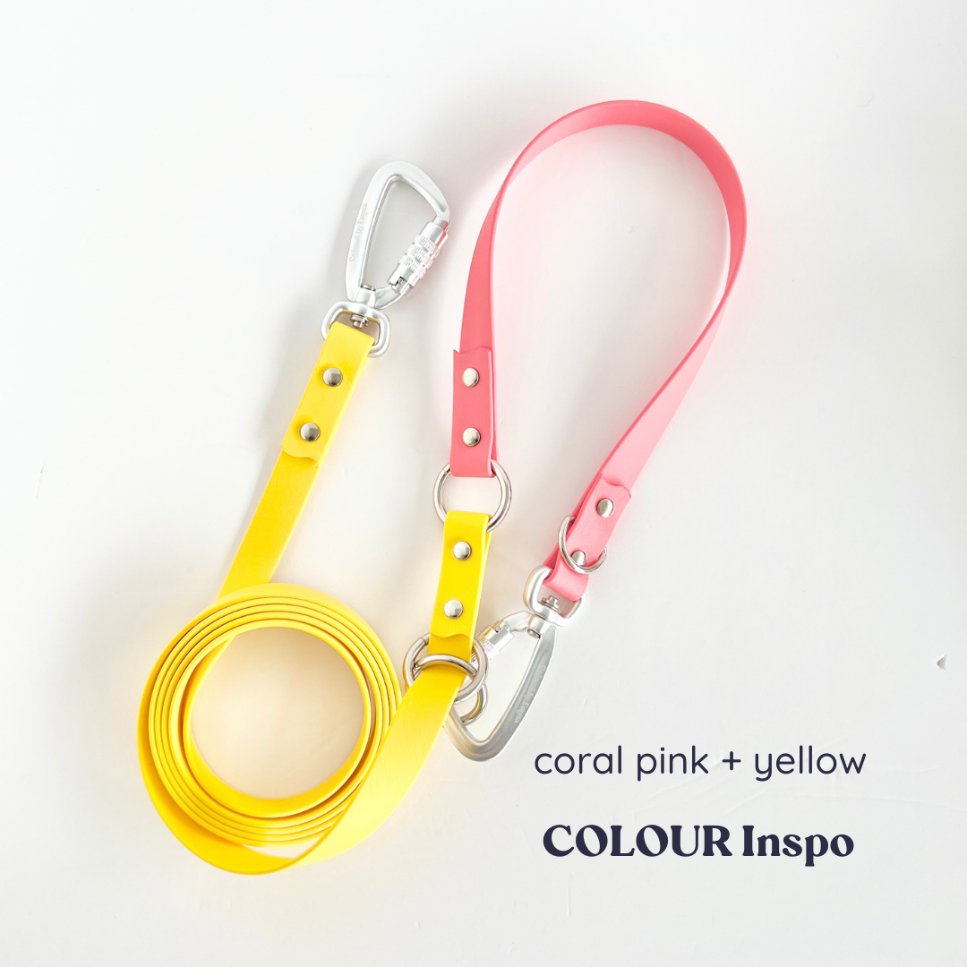 Colour Your Own Multi Use Hands Free Leash