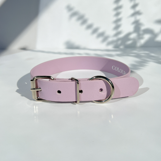 Lavender Classic Collar