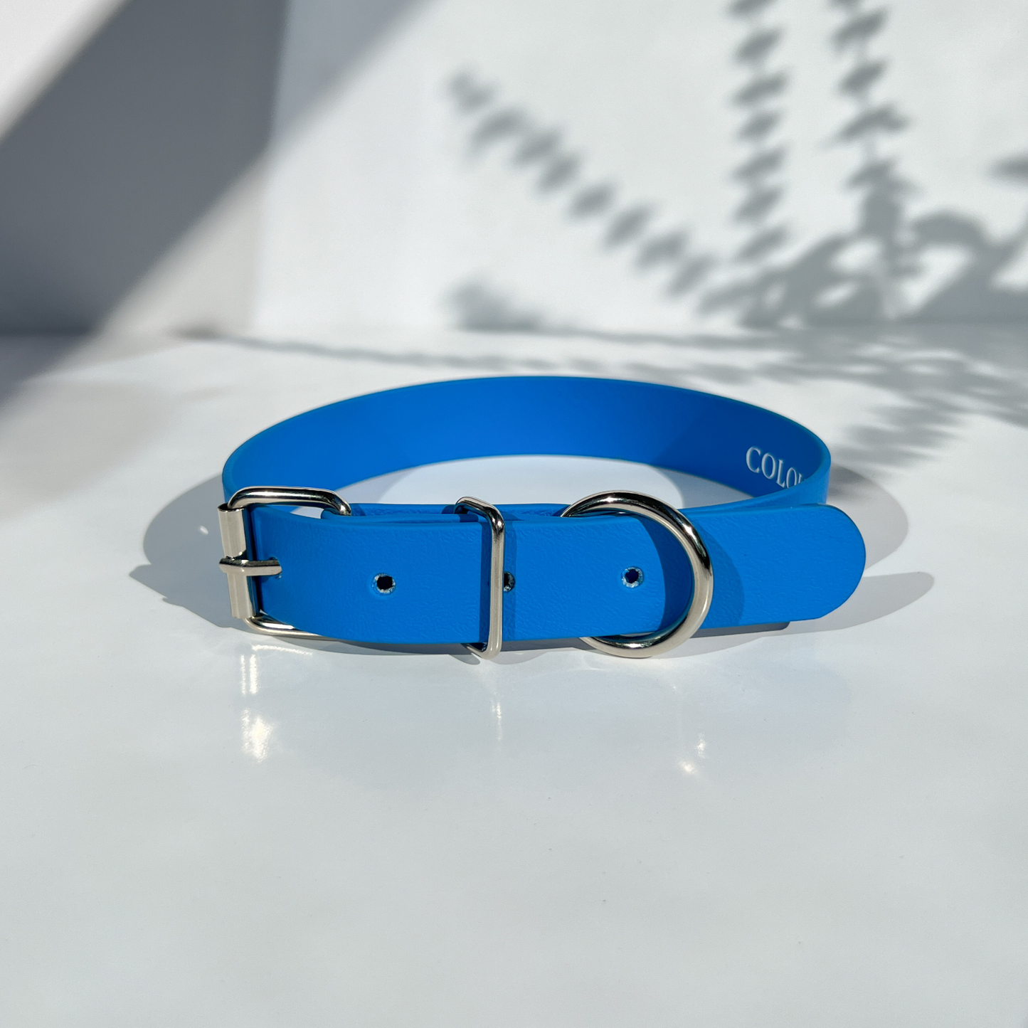 Blue Classic Collar