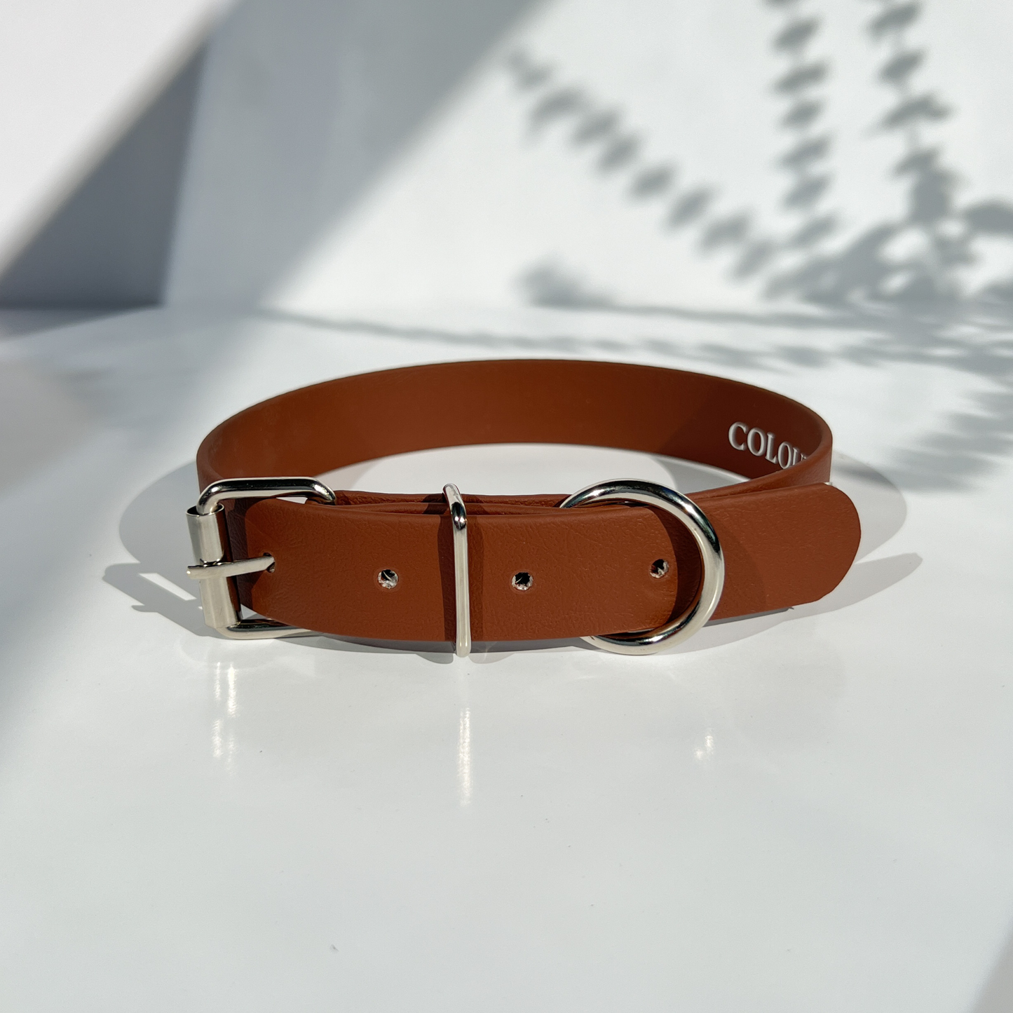 Brown Classic Collar