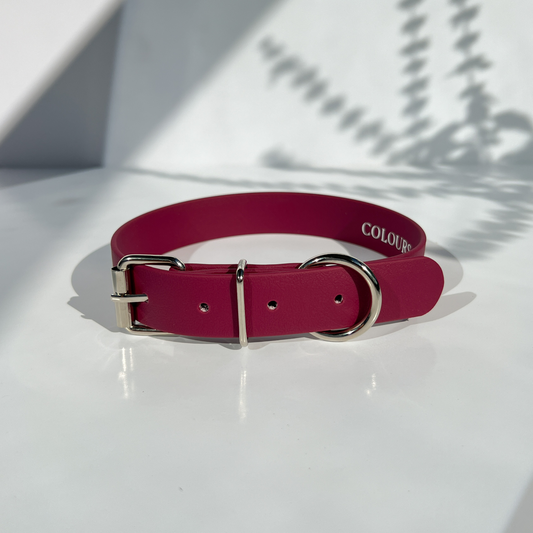 Burgundy Classic Collar