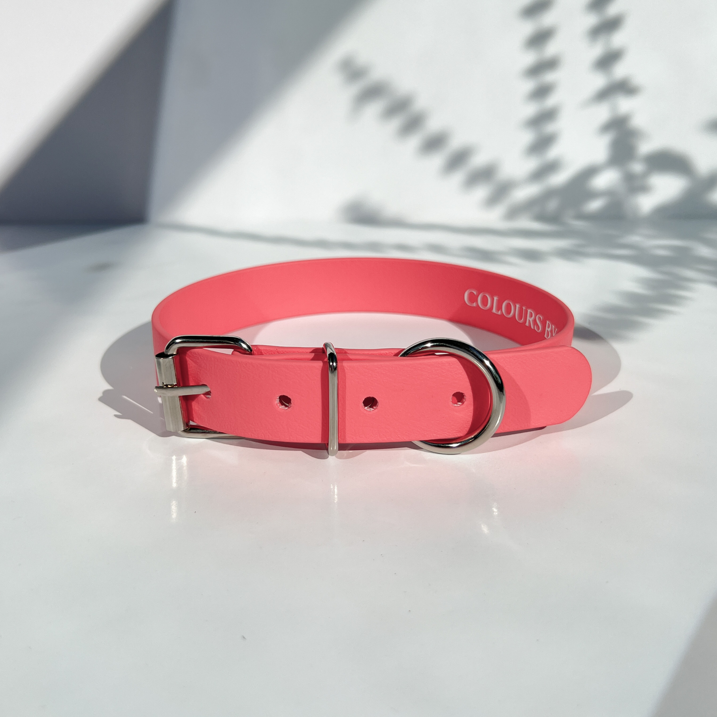 Coral Pink Classic Collar