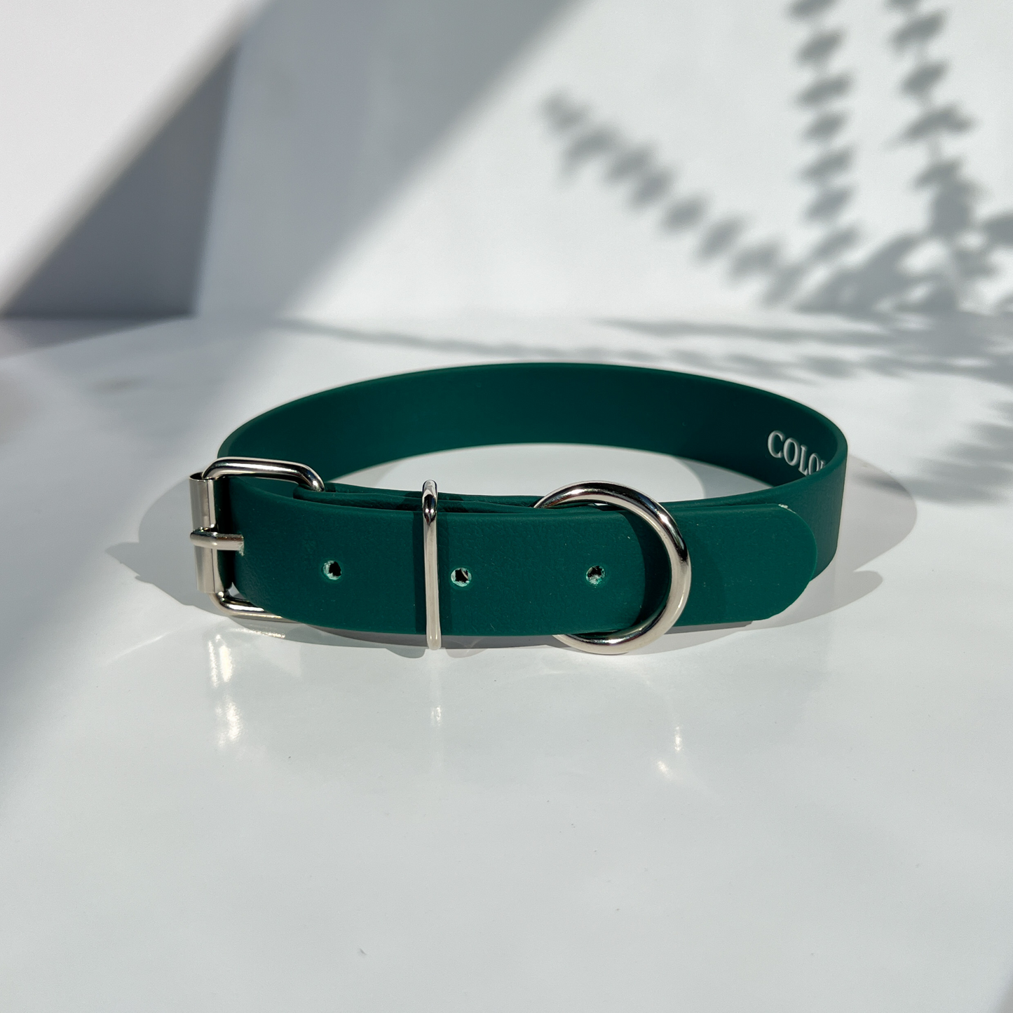 Forest Green Classic Collar