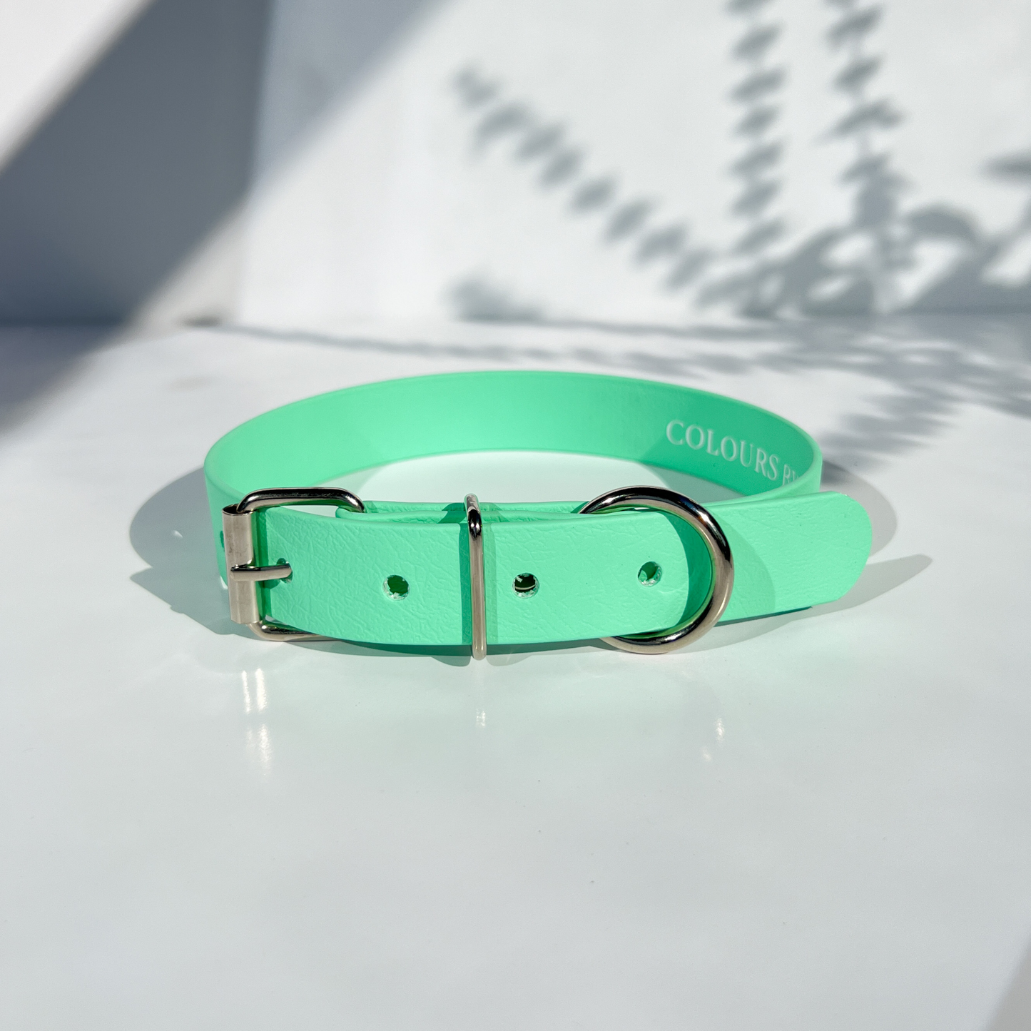 Mint Green Classic Collar