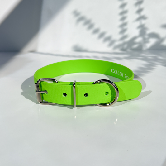 Neon Green Classic Collar