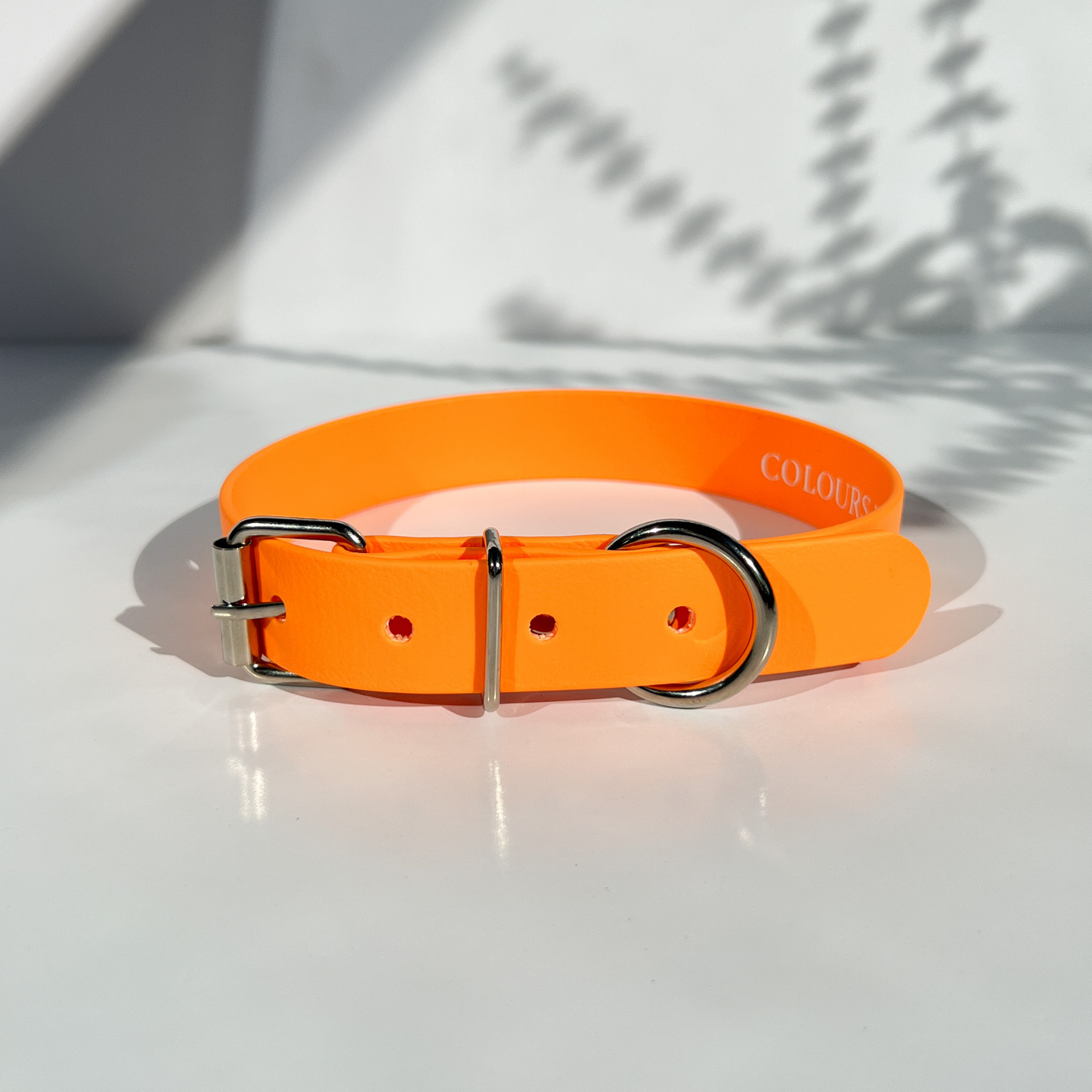 Neon Orange Classic Collar