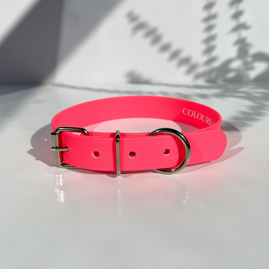 Neon Pink Classic Collar