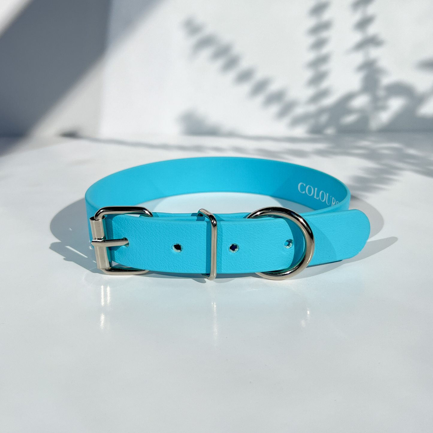 Sky Classic Collar