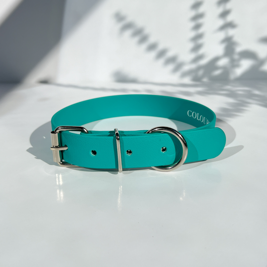 Teal Classic Collar