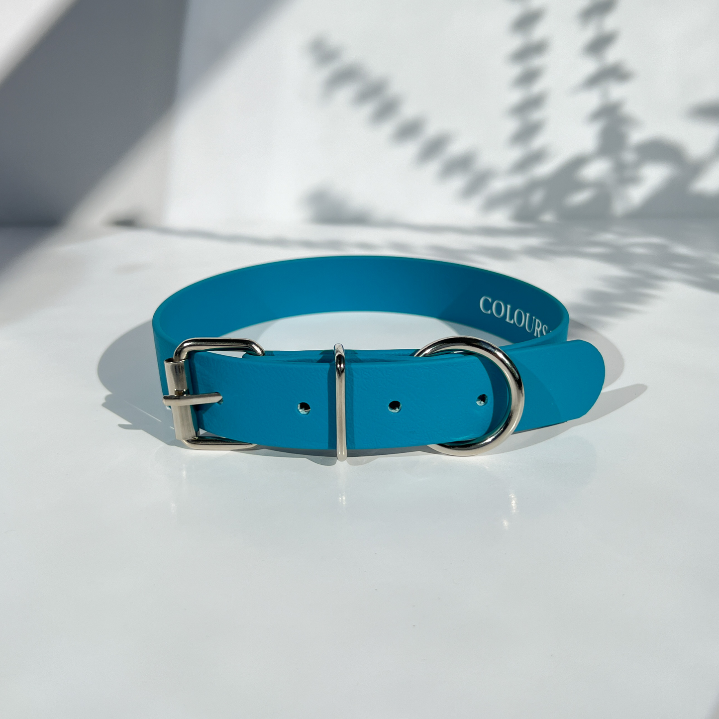 Turquoise Blue Classic Collar