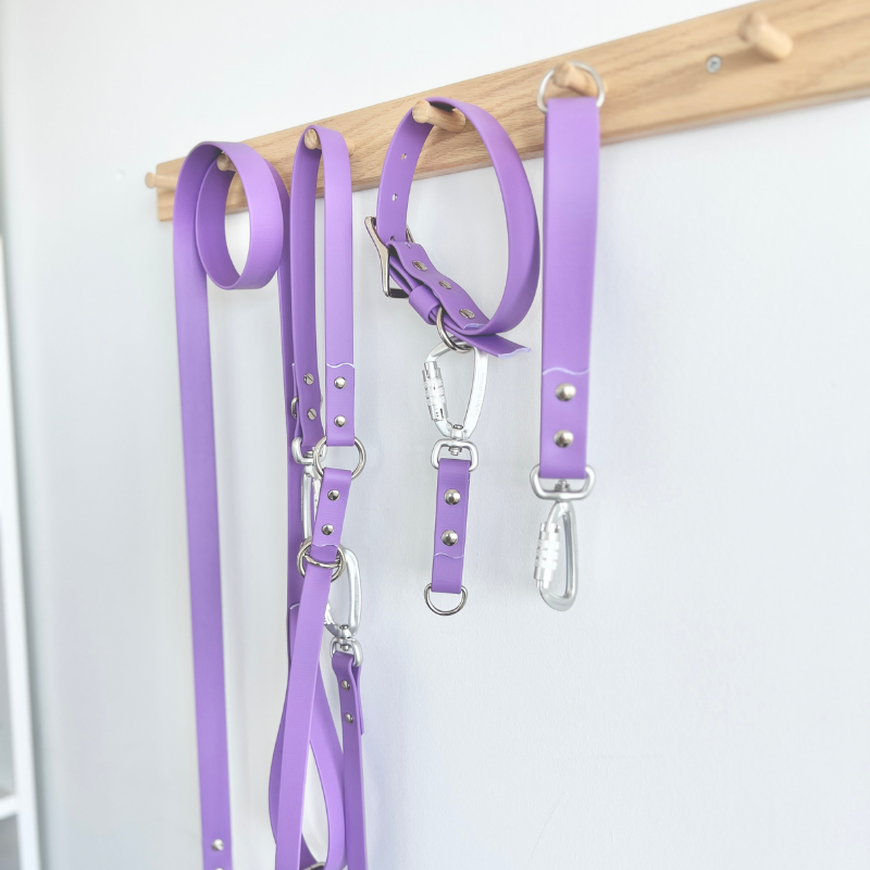 Ube Original Leash