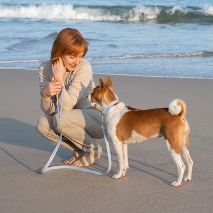 Cloud Multi Use Hands Free Leash