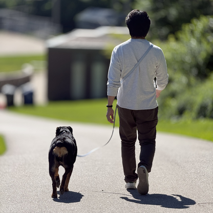 Multi Use Hands Free Leash