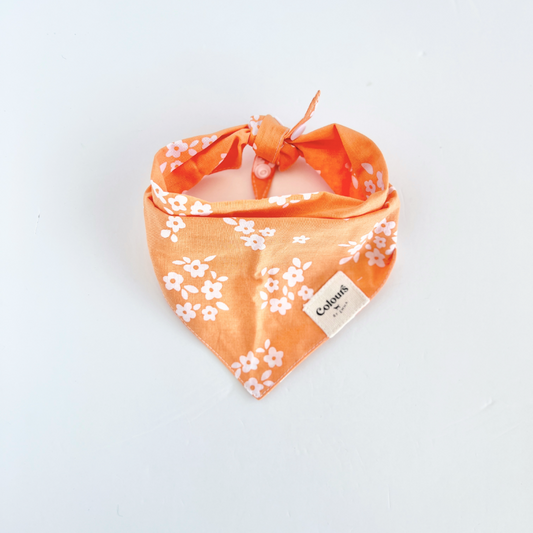 Easton Bandana