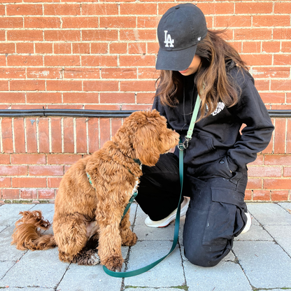 Forest Green Original Leash