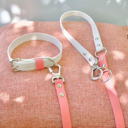 Found x CBE Hands Free Leash