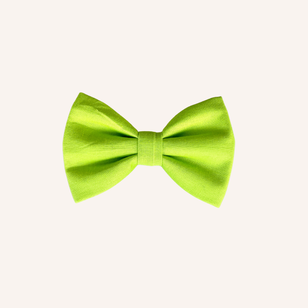 Love is Love Green Bow