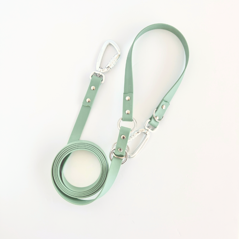 Sage Multi Use Hands Free Leash