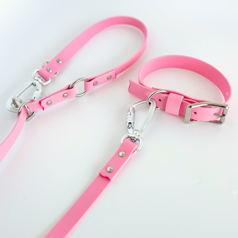 Sakura Original Leash