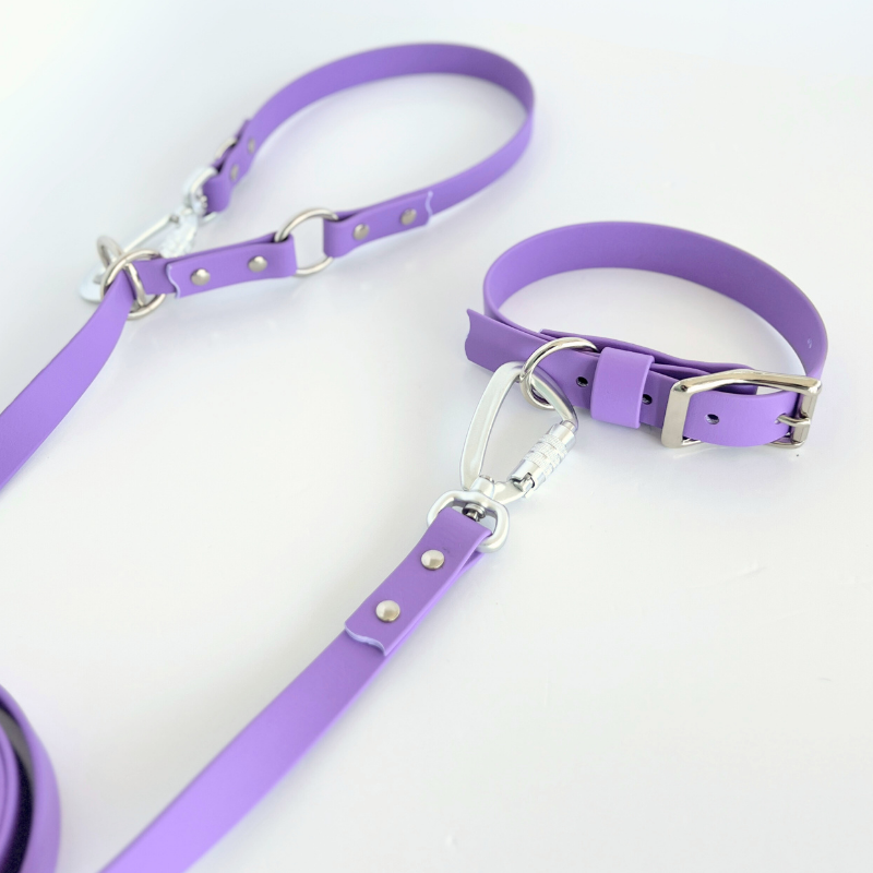 Ube Original Leash