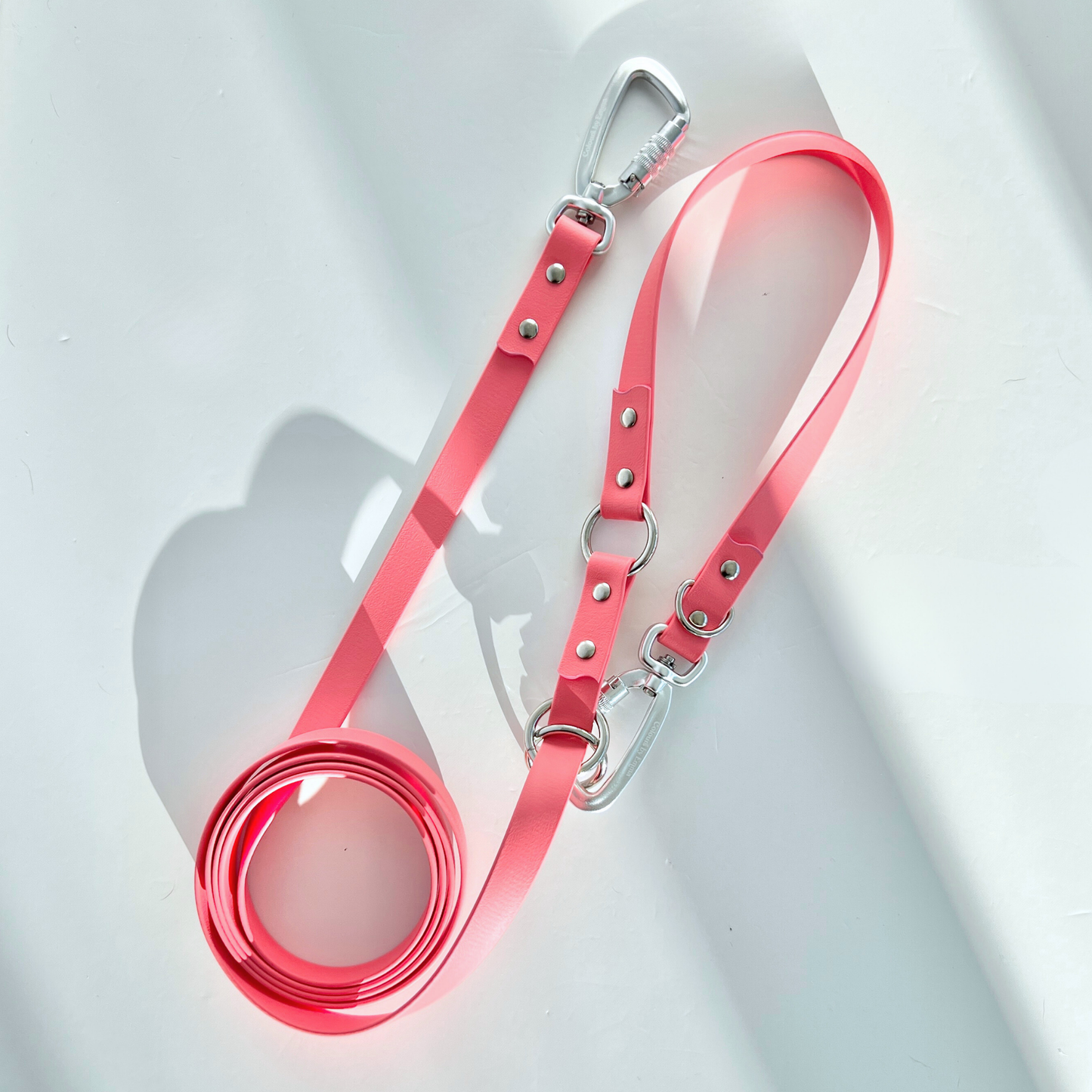 Coral Multi Use Hands Free Leash