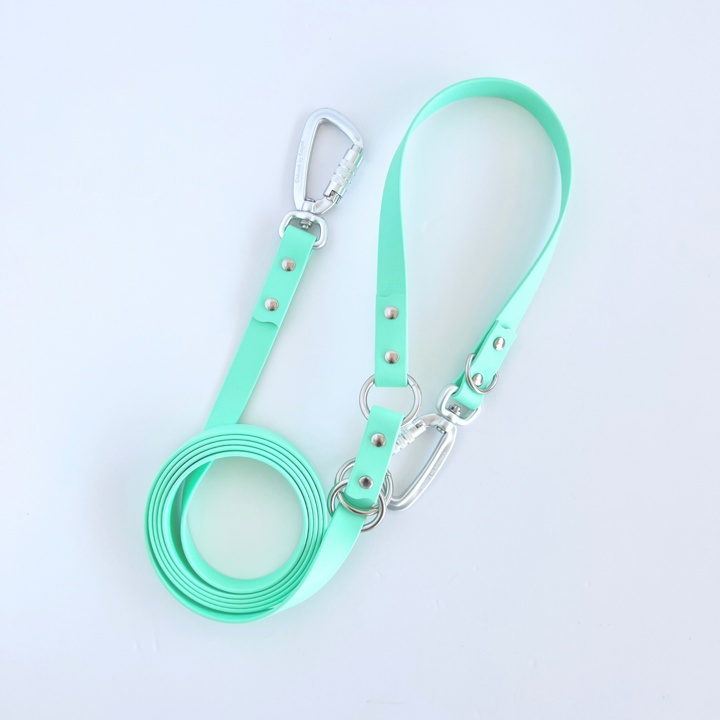 Mint Multi Use Hands Free Leash