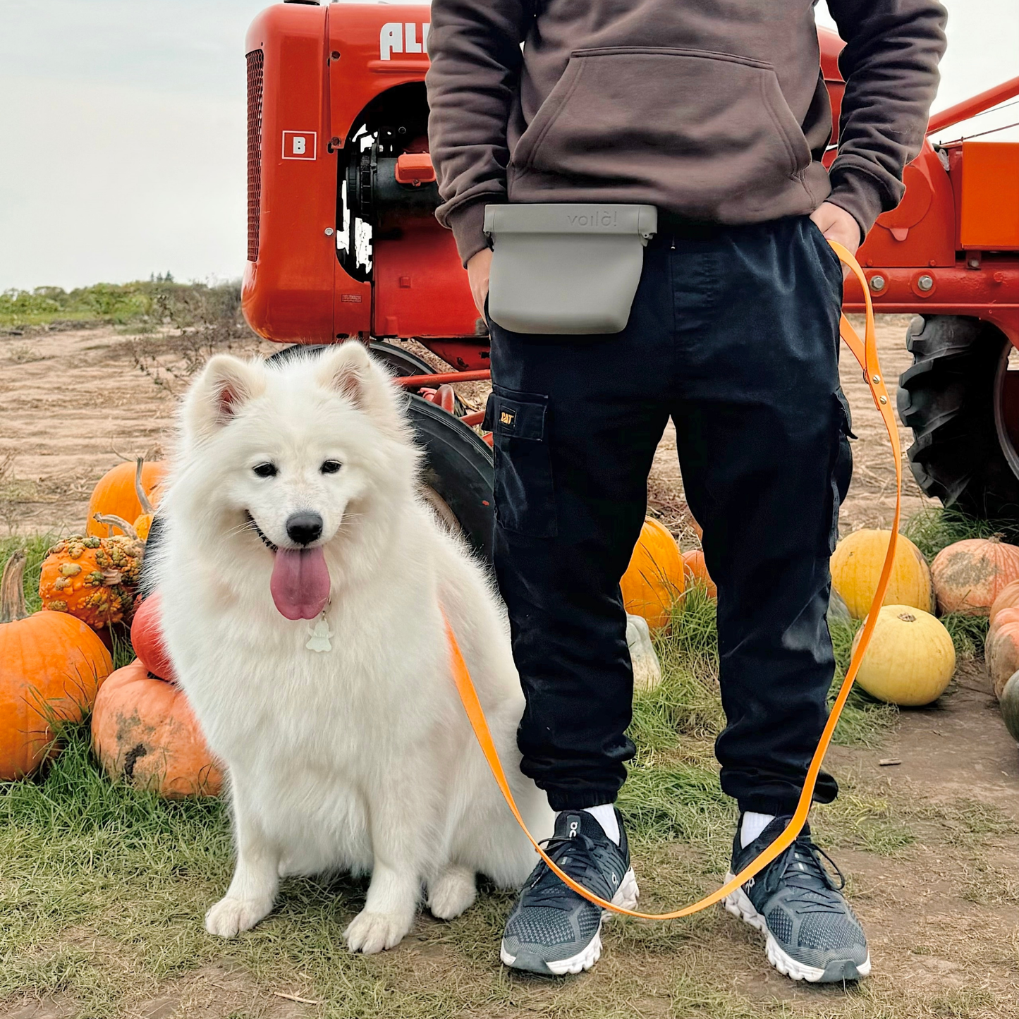 Neon Orange Original Leash