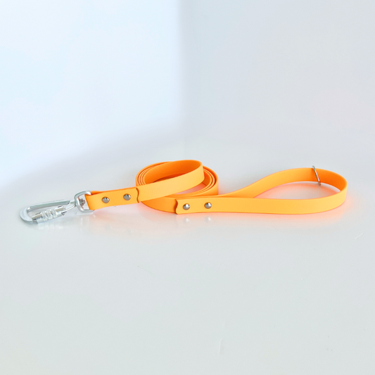 Neon Orange Original Leash