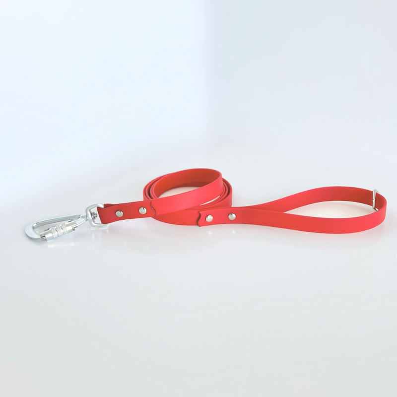 Red Original Leash