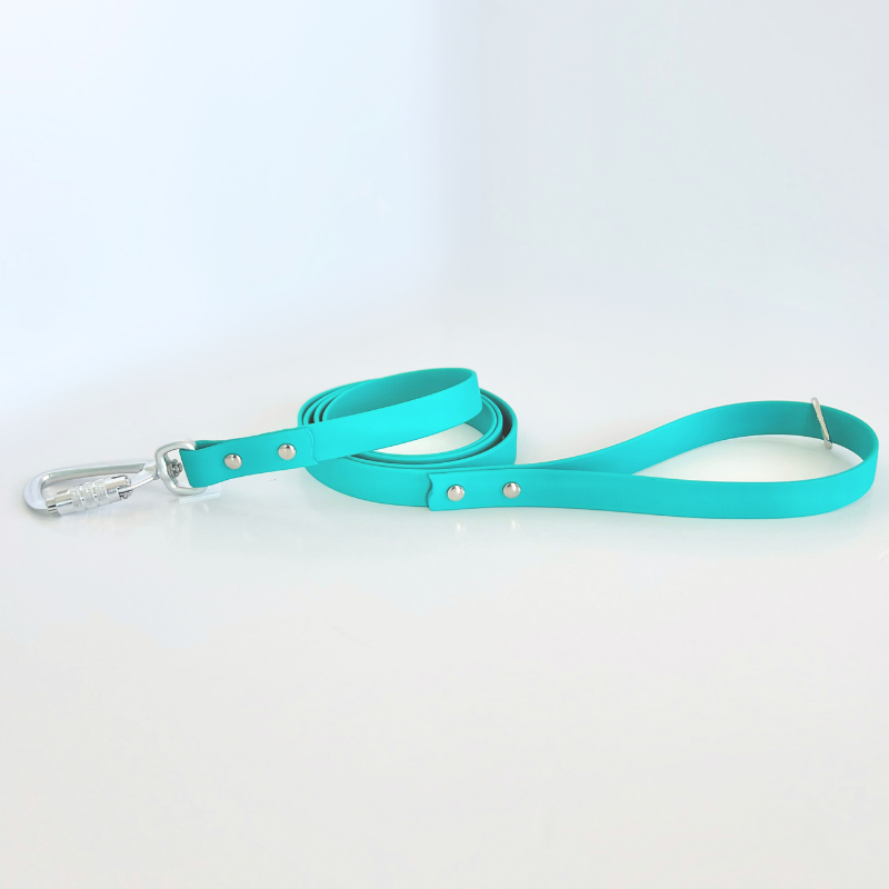 Teal Original Leash