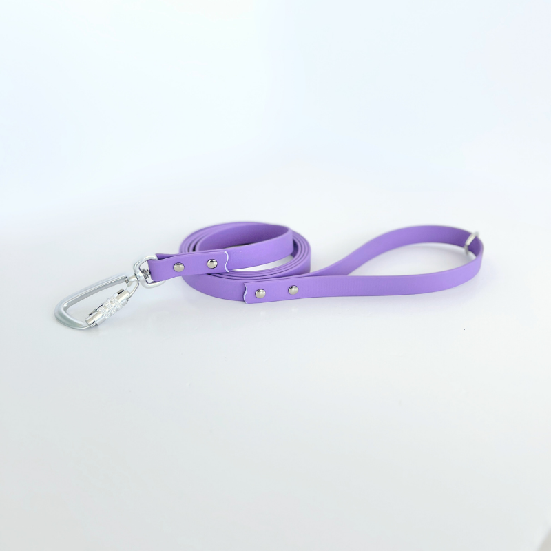 Ube Original Leash