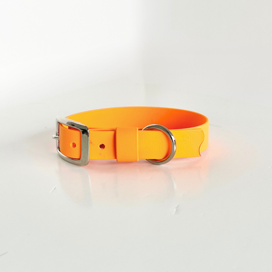 Orange Original Collar