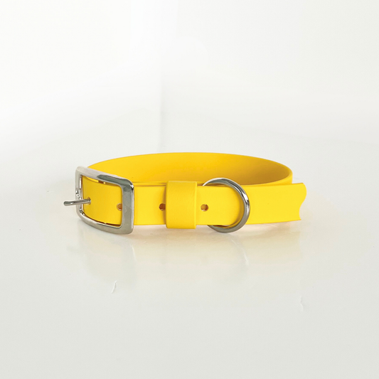 Yellow Original Collar