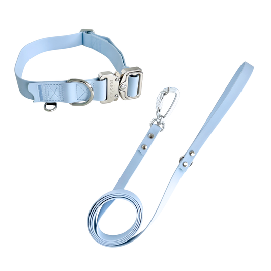 Quick Release Collar + Standard Leash Set