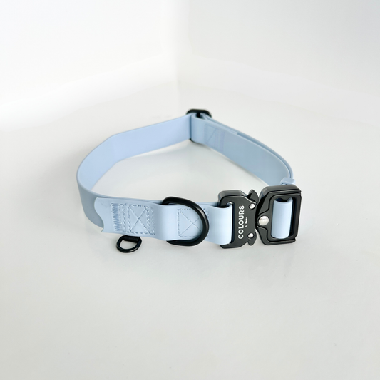 Light blue dog collar with black hardware on a light gray background