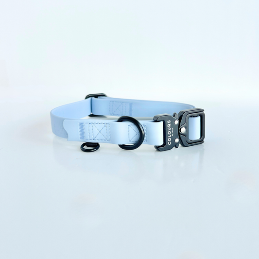 Light blue dog collar with black hardware on a white background