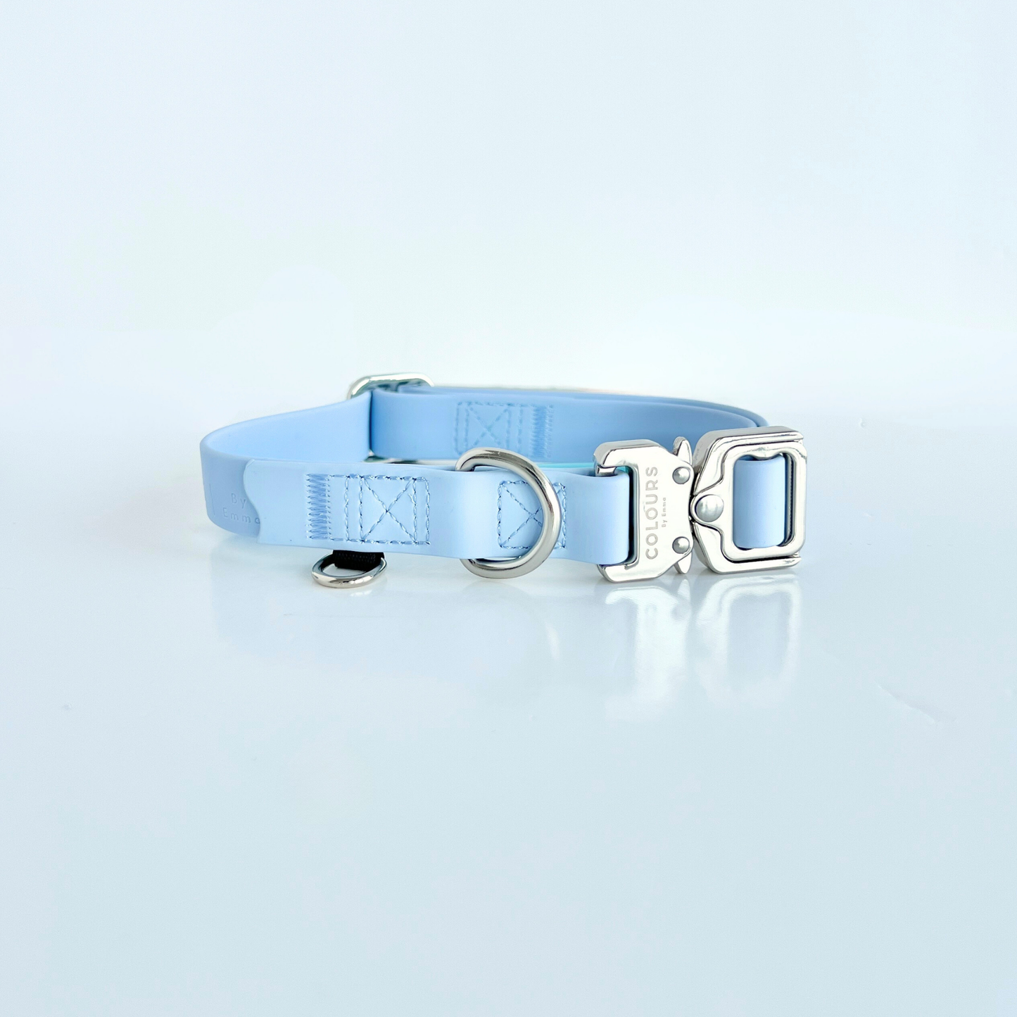 Light blue dog collar with a silver buckle on a light gray background
