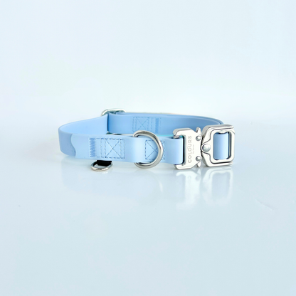 Light blue dog collar with a silver buckle on a light gray background