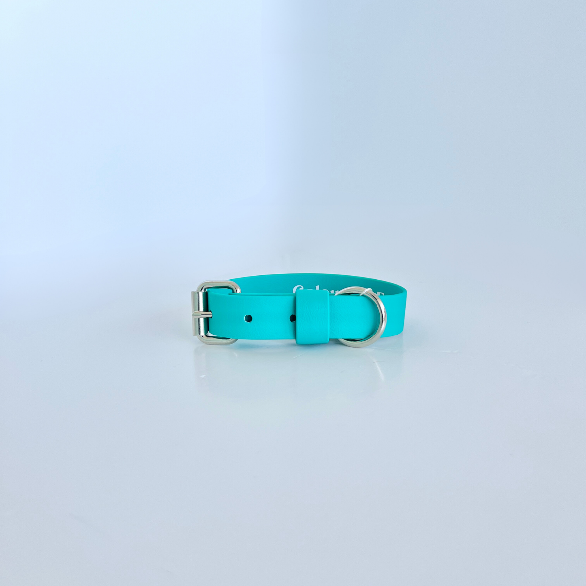 SS - Teal Collar