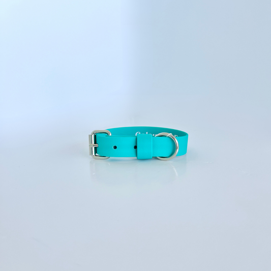 SS - Teal Collar