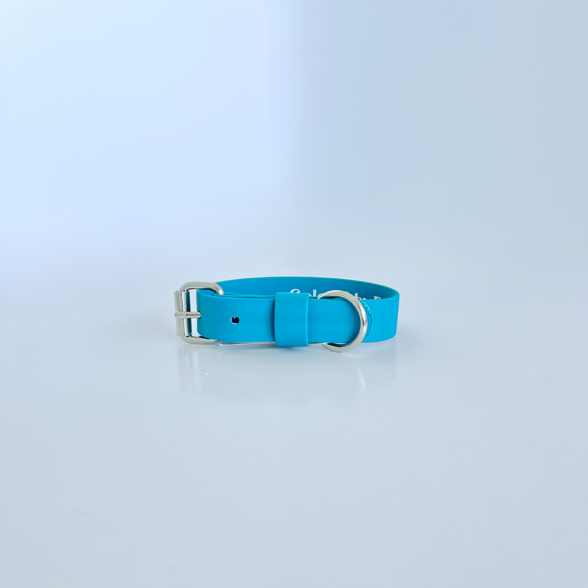 SS - Turquoise Collar