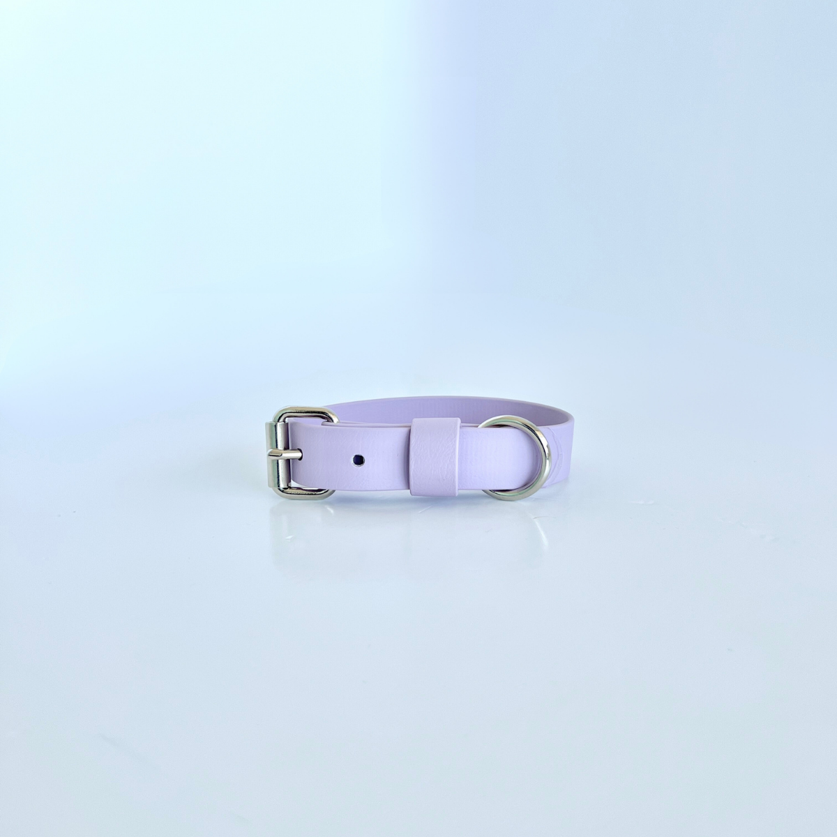 SS - Lavender Collar