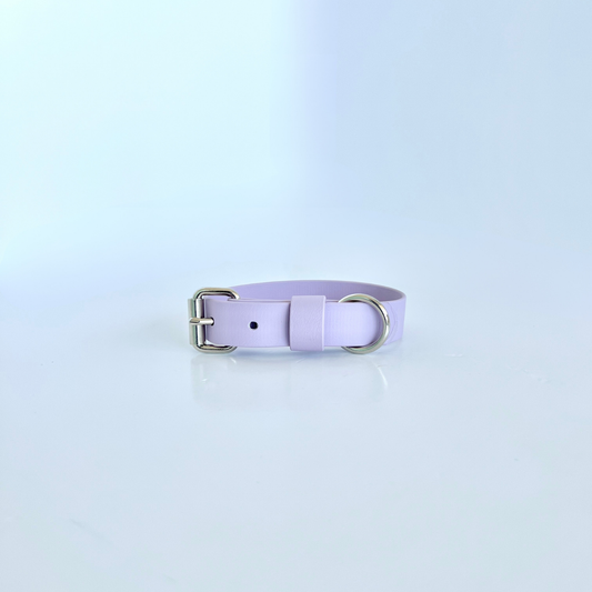 SS - Lavender Collar