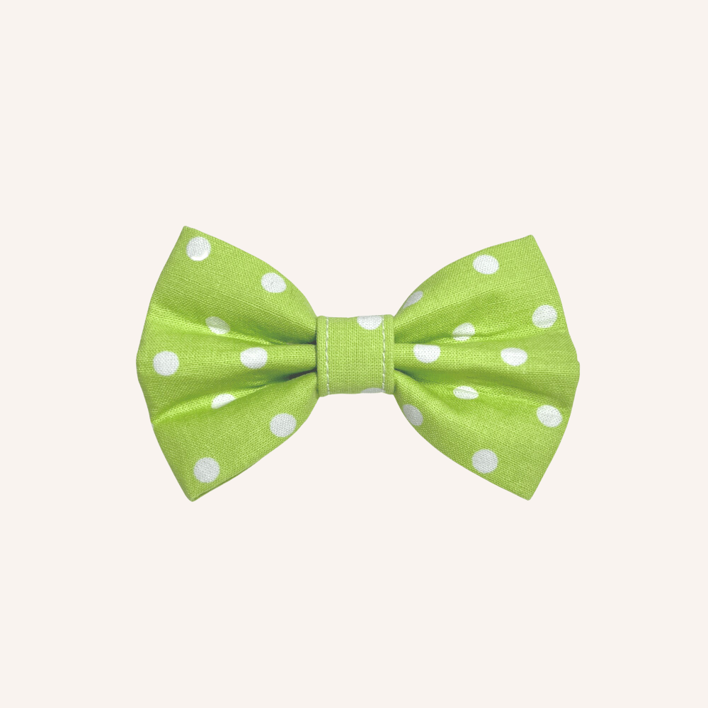 Spring green polka dots dog bow tie