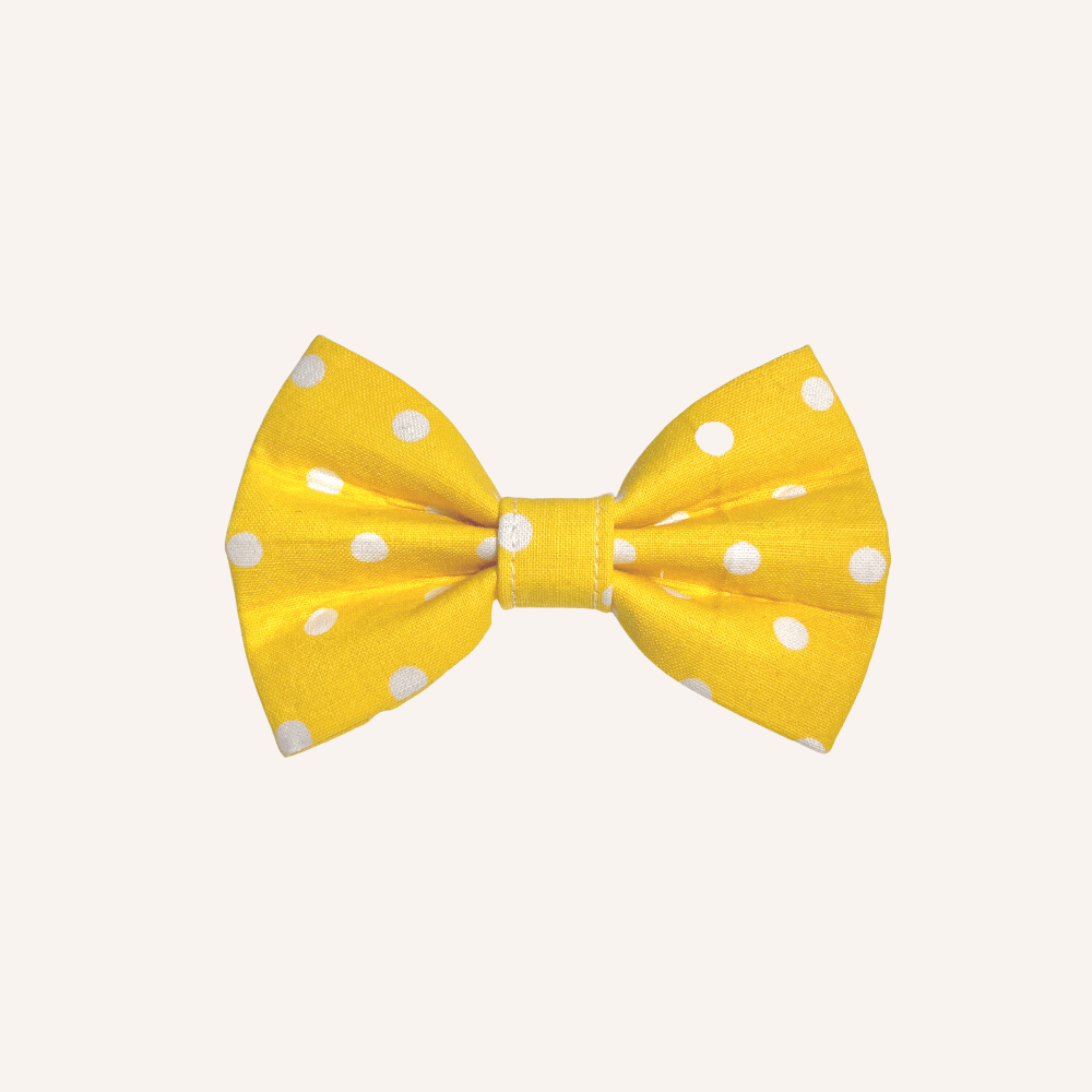 Spring yellow polka dots dog bow tie