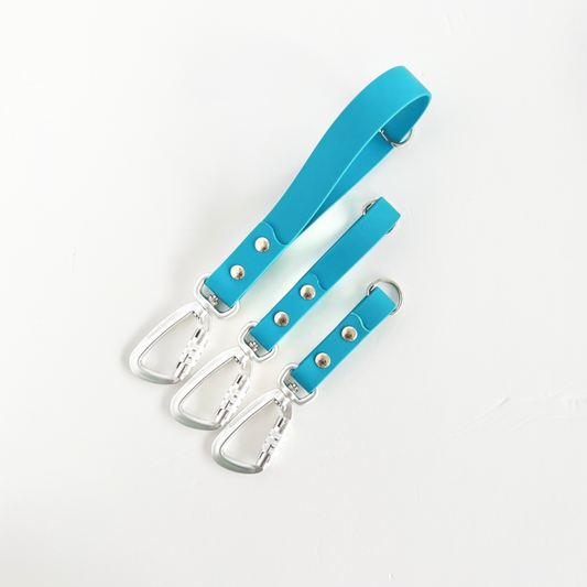 Turquoise Training Handle